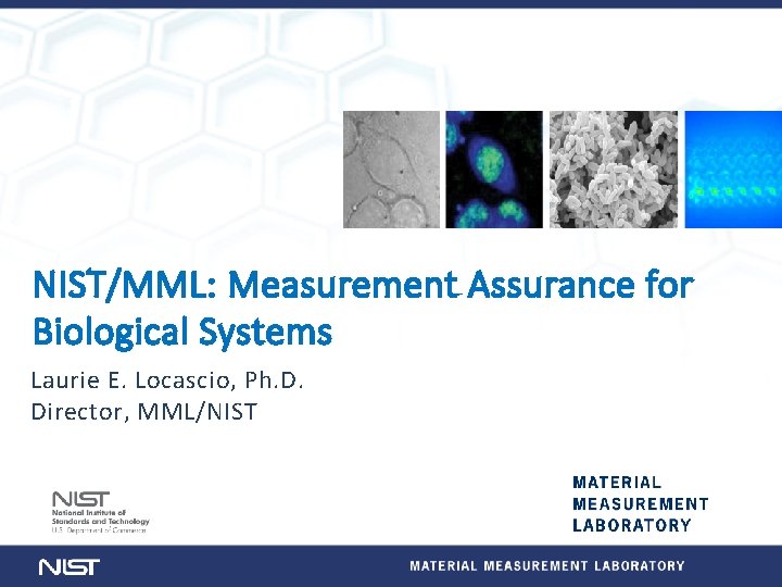 NIST/MML: Measurement Assurance for Biological Systems Laurie E. Locascio, Ph. D. Director, MML/NIST 