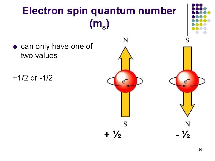 Electron spin quantum number (ms) l can only have one of two values +1/2 Electron spin quantum number (ms) l can only have one of two values +1/2