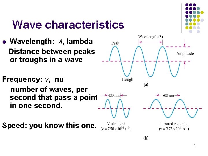 Wave characteristics l Wavelength: λ, lambda Distance between peaks or troughs in a wave