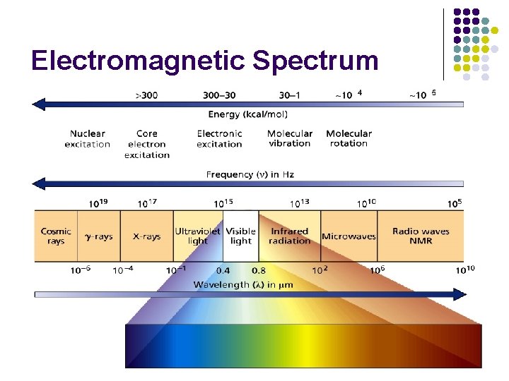 Electromagnetic Spectrum 6 