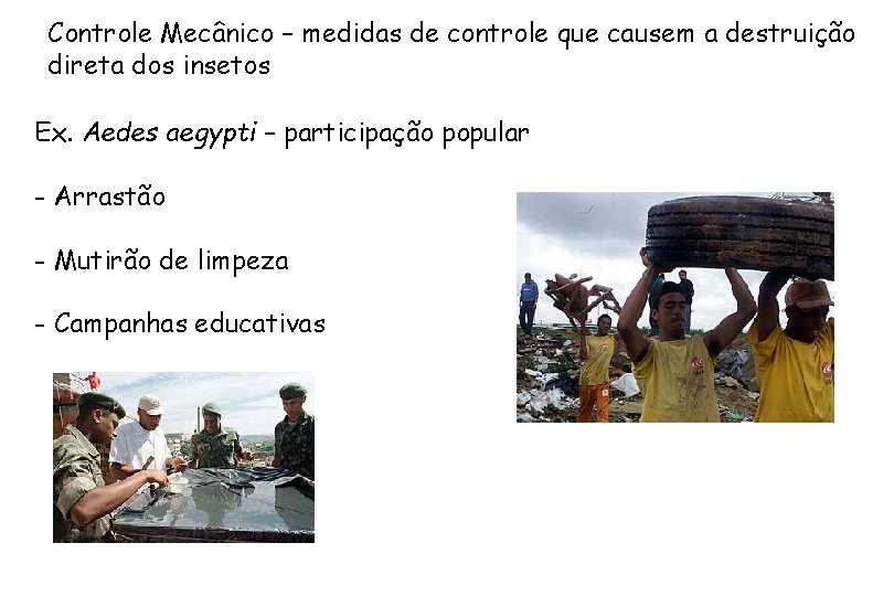 Controle Mecânico – medidas de controle que causem a destruição direta dos insetos Ex.