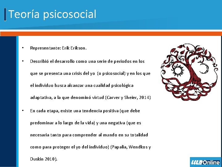 Teoría psicosocial • Representante: Erikson. • Describió el desarrollo como una serie de periodos