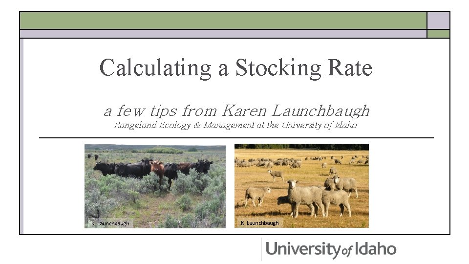 Calculating a Stocking Rate a few tips from Karen Launchbaugh Rangeland Ecology & Management