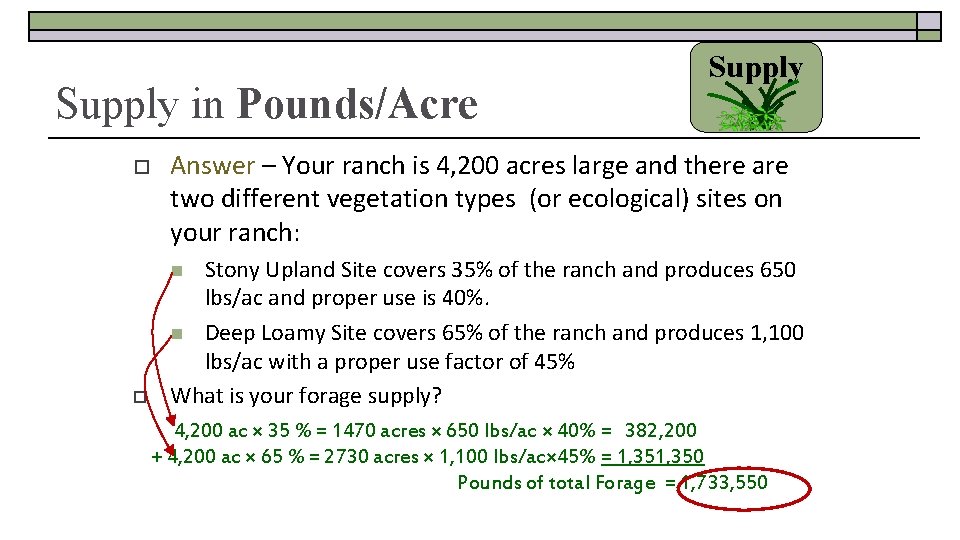Supply in Pounds/Acre o Supply Answer – Your ranch is 4, 200 acres large