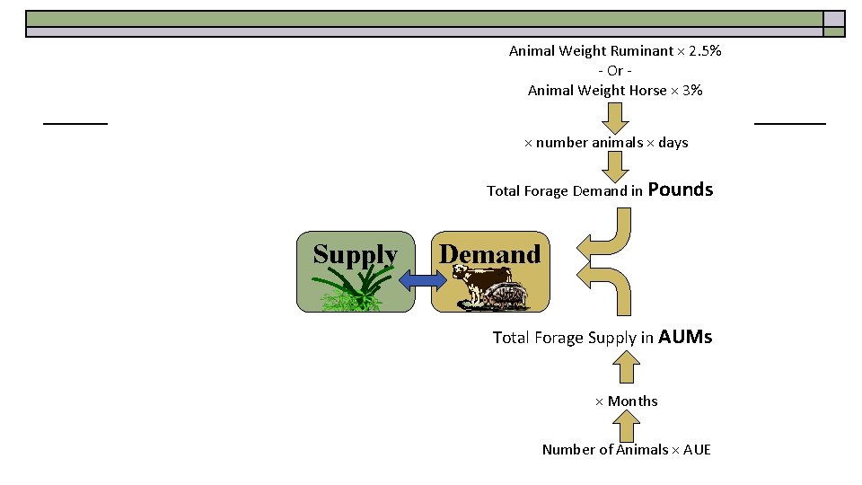 Animal Weight Ruminant × 2. 5% - Or Animal Weight Horse × 3% ×