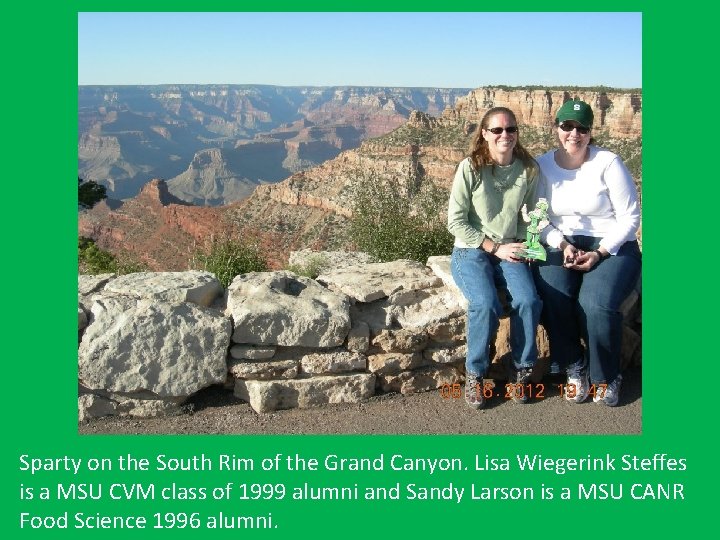 Sparty on the South Rim of the Grand Canyon. Lisa Wiegerink Steffes is a