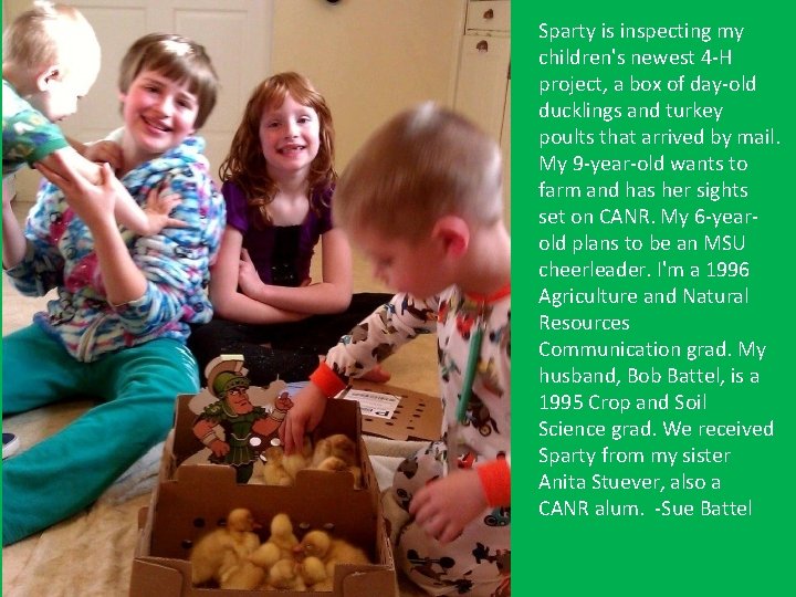 Sparty is inspecting my children's newest 4 -H project, a box of day-old ducklings