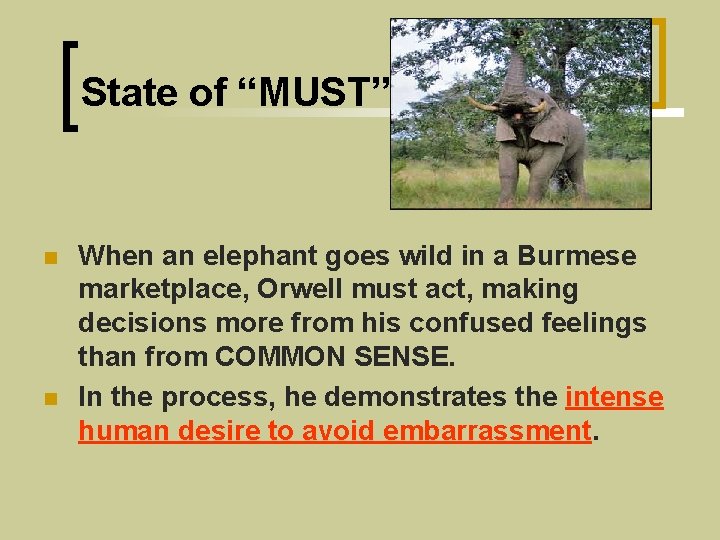 State of “MUST” n n When an elephant goes wild in a Burmese marketplace,