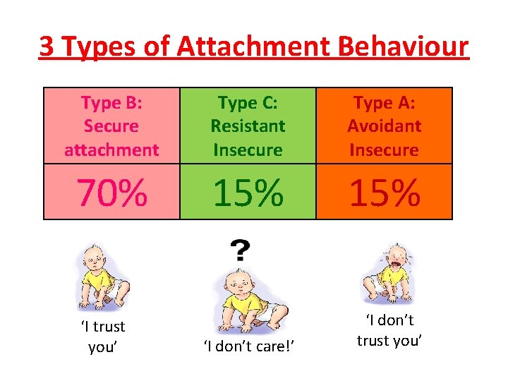 3 Types of Attachment Behaviour Type B: Secure attachment Type C: Resistant Insecure Type