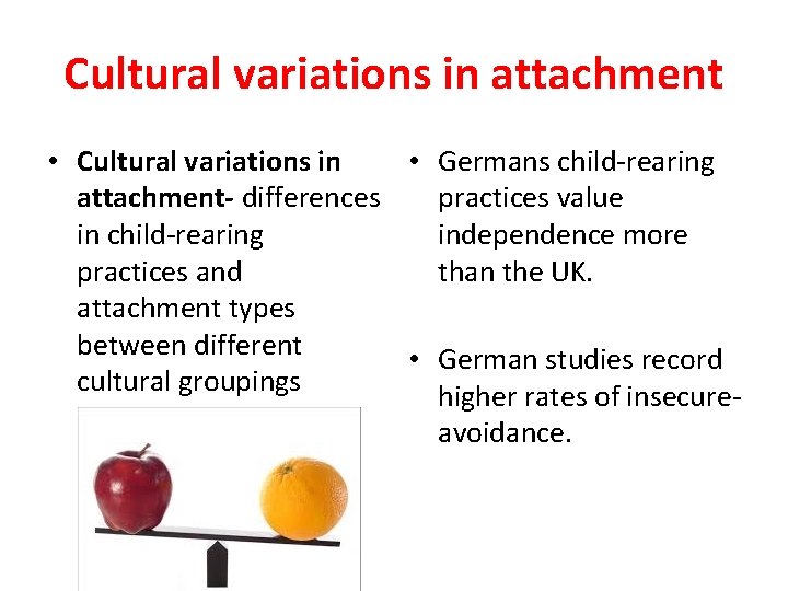 Cultural variations in attachment • Cultural variations in • Germans child-rearing attachment- differences practices