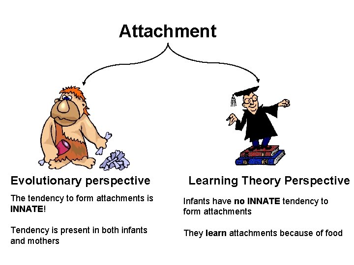 Attachment Evolutionary perspective Learning Theory Perspective The tendency to form attachments is INNATE! Infants