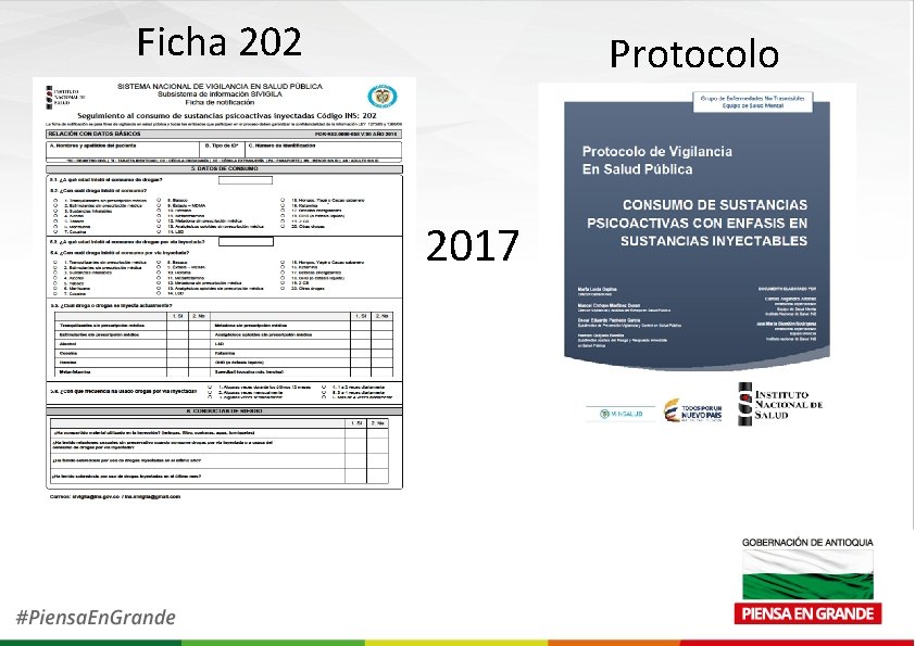 Ficha 202 Protocolo 2017 