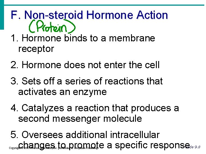 F. Non-steroid Hormone Action 1. Hormone binds to a membrane receptor 2. Hormone does