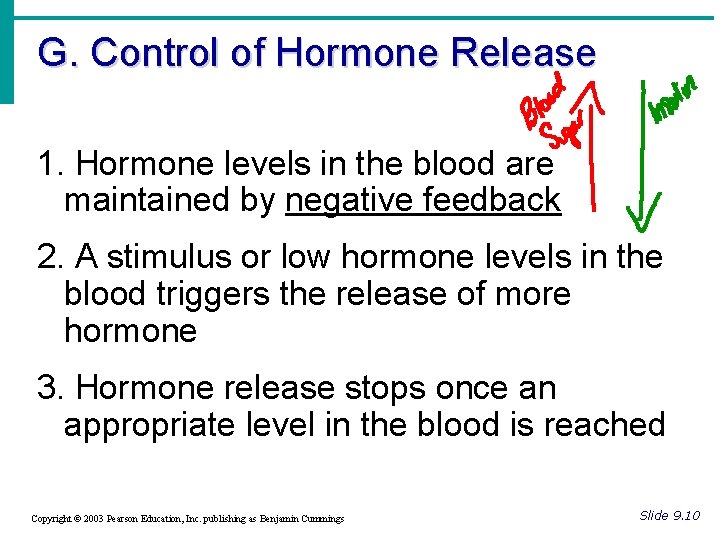 G. Control of Hormone Release 1. Hormone levels in the blood are maintained by