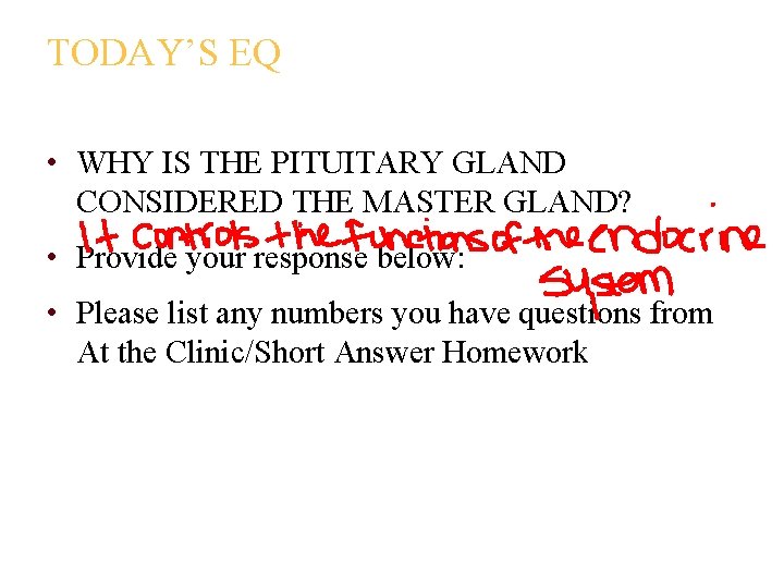 TODAY’S EQ • WHY IS THE PITUITARY GLAND CONSIDERED THE MASTER GLAND? • Provide