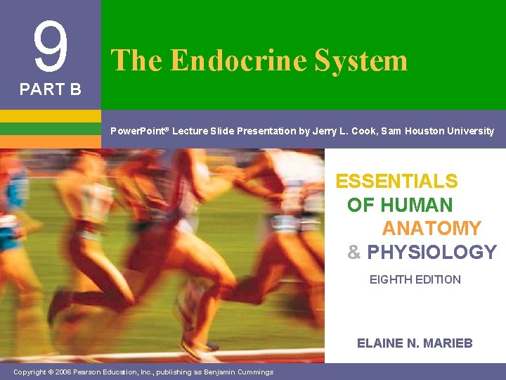 9 The Endocrine System PART B Power. Point® Lecture Slide Presentation by Jerry L.