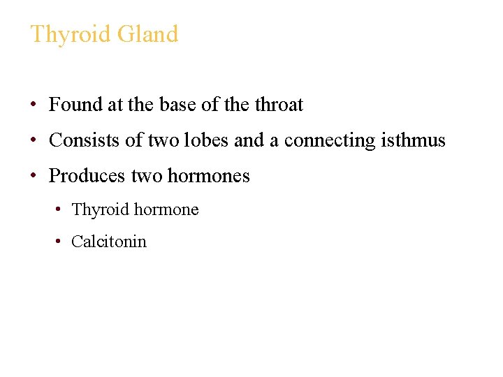 Thyroid Gland • Found at the base of the throat • Consists of two