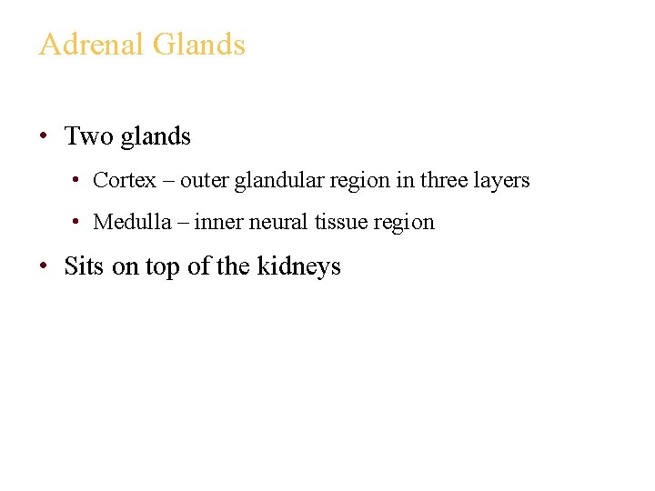 Adrenal Glands • Two glands • Cortex – outer glandular region in three layers