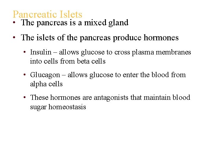 Pancreatic Islets • The pancreas is a mixed gland • The islets of the
