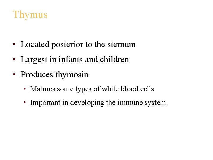 Thymus • Located posterior to the sternum • Largest in infants and children •