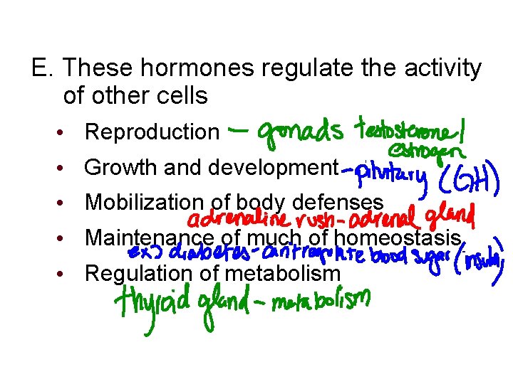 E. These hormones regulate the activity of other cells • Reproduction • Growth and