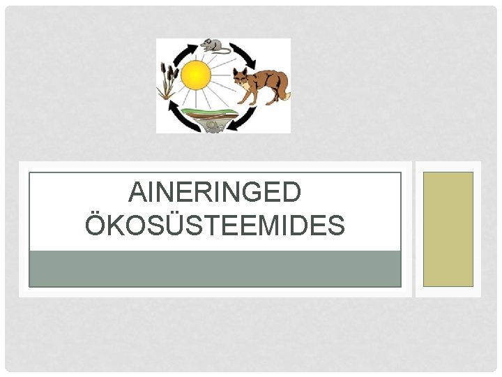 AINERINGED ÖKOSÜSTEEMIDES 