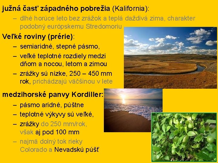 južná časť západného pobrežia (Kalifornia): – dlhé horúce leto bez zrážok a teplá daždivá