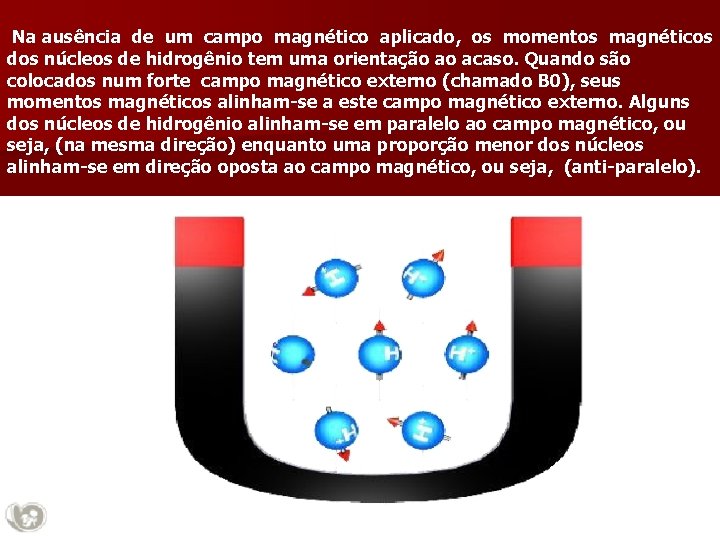 Na ausência de um campo magnético aplicado, os momentos magnéticos dos núcleos de hidrogênio