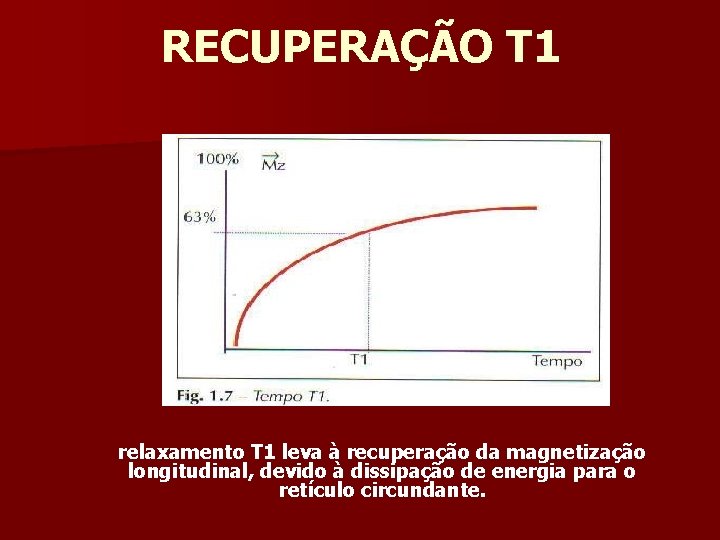 RECUPERAÇÃO T 1 relaxamento T 1 leva à recuperação da magnetização longitudinal, devido à
