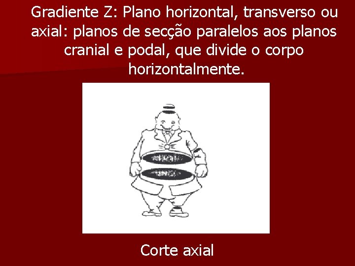  Gradiente Z: Plano horizontal, transverso ou axial: planos de secção paralelos aos planos