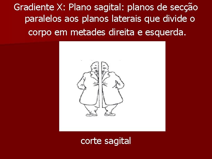 Gradiente X: Plano sagital: planos de secção paralelos aos planos laterais que divide o