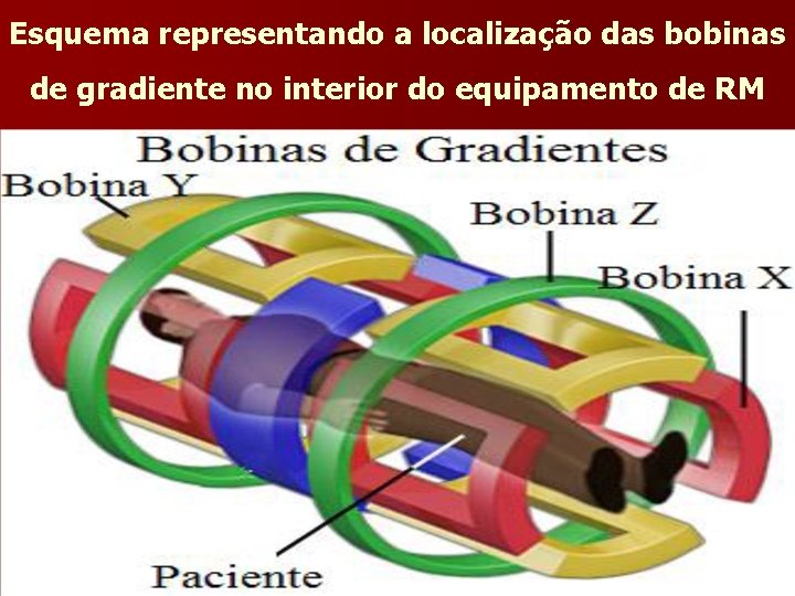 Esquema representando a localização das bobinas de gradiente no interior do equipamento de RM