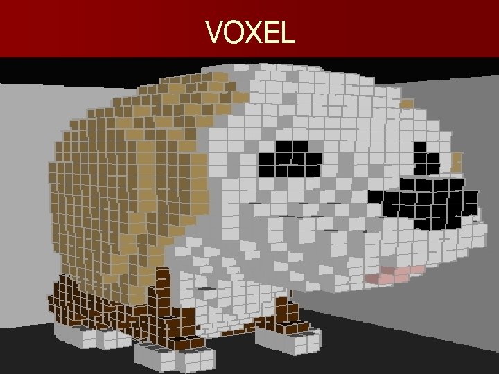 VOXEL 