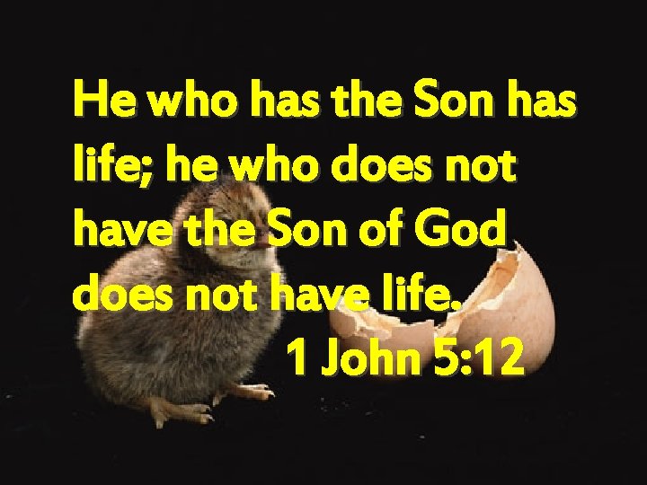 He who has the Son has life; he who does not have the Son