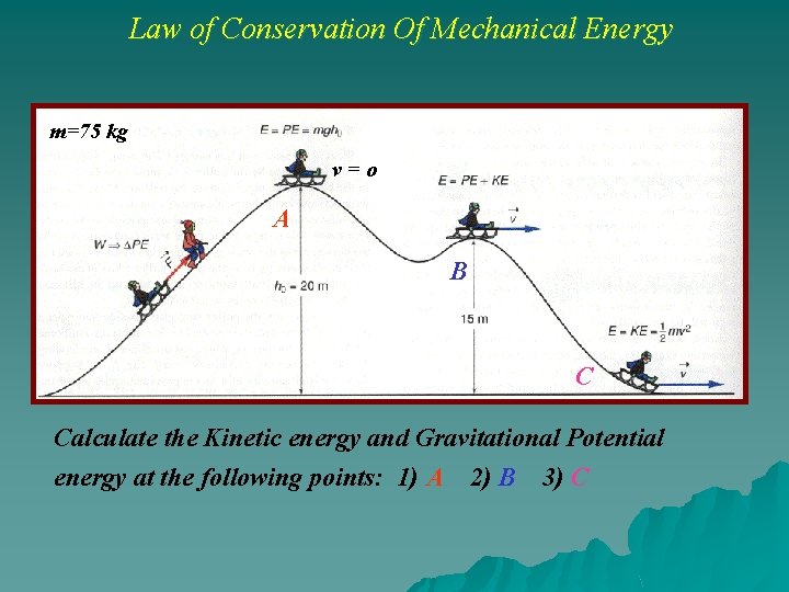 Law of Conservation Of Mechanical Energy m=75 kg v=o A B C Calculate the