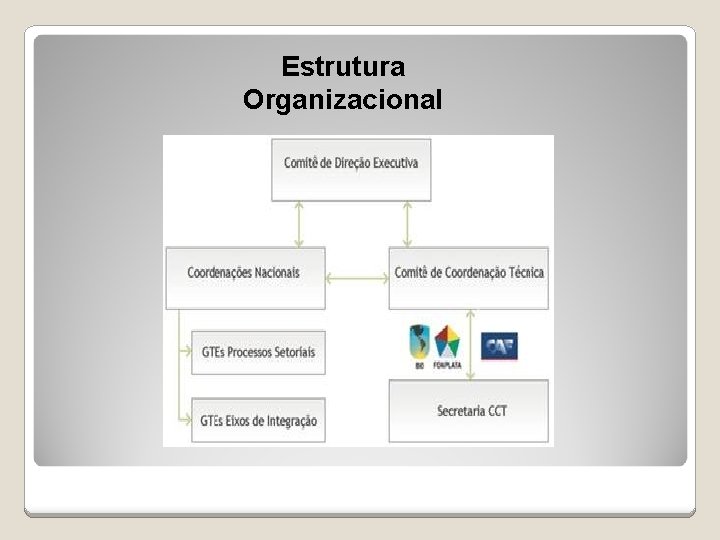 Estrutura Organizacional 