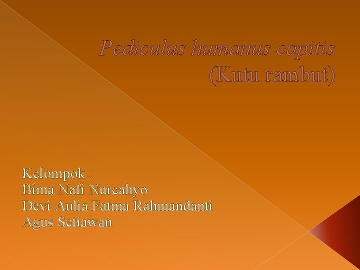 Pediculus humanus capitis (Kutu rambut) Kelompok : Bima Nafi Nurcahyo Devi Aulia Fatma Rahmandanti