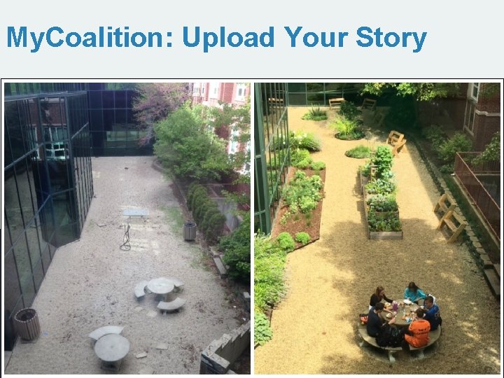 My. Coalition: Upload Your Story 