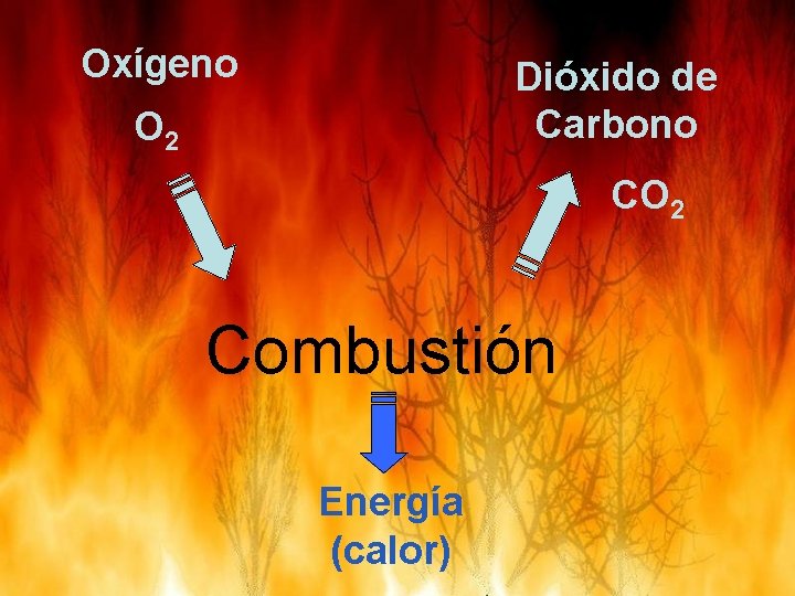 Oxígeno Dióxido de Carbono O 2 Combustión Energía (calor) 