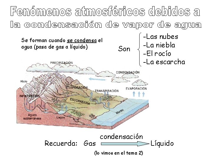 Se forman cuando se condensa el agua (pasa de gas a líquido) Recuerda: Gas