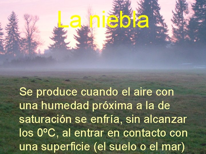 La niebla Se produce cuando el aire con una humedad próxima a la de