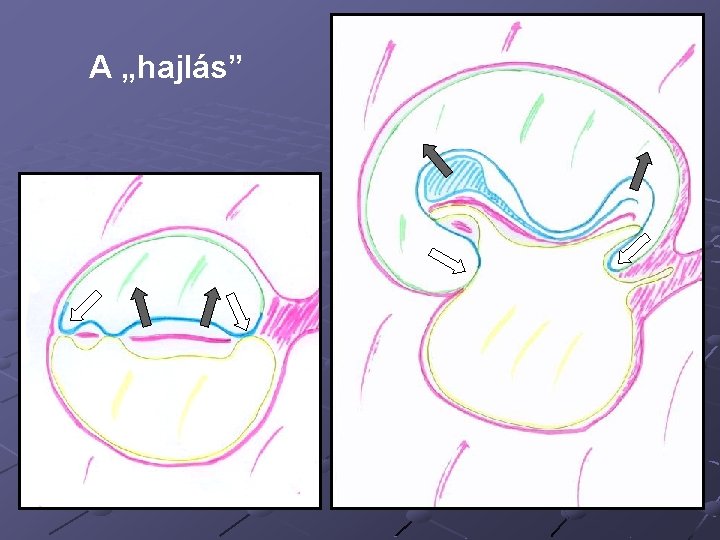 A „hajlás” 