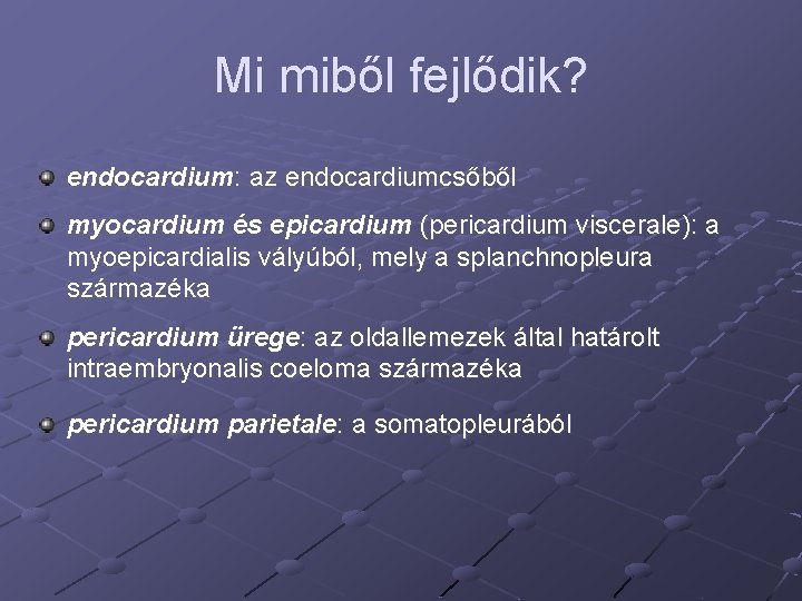 Mi miből fejlődik? endocardium: az endocardiumcsőből myocardium és epicardium (pericardium viscerale): a myoepicardialis vályúból,