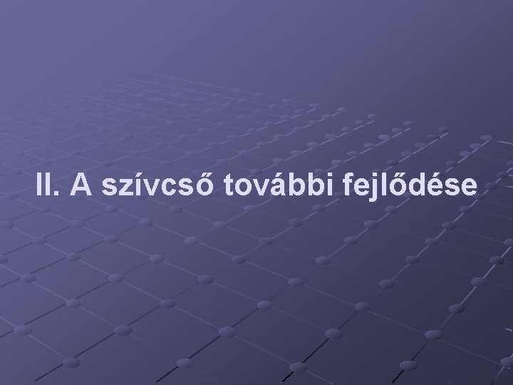 II. A szívcső további fejlődése 