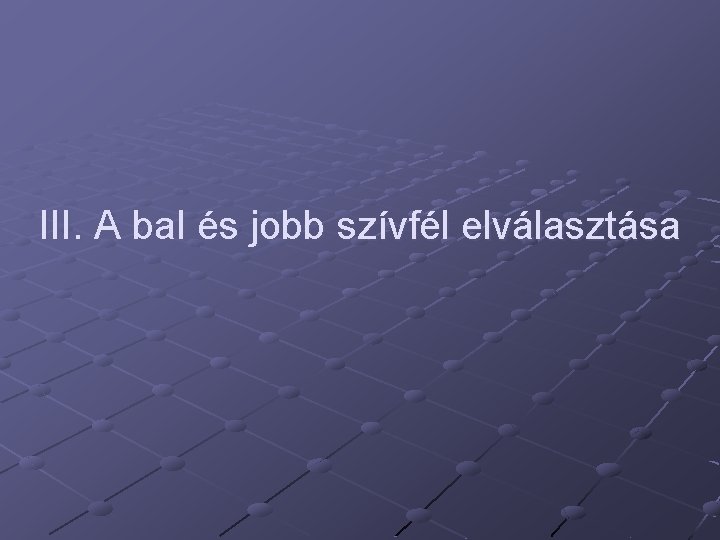 III. A bal és jobb szívfél elválasztása 