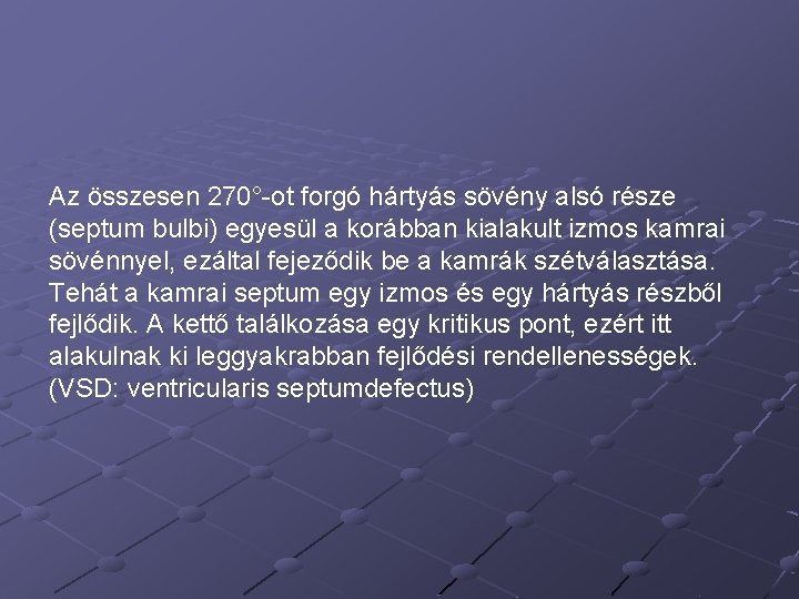 Az összesen 270°-ot forgó hártyás sövény alsó része (septum bulbi) egyesül a korábban kialakult
