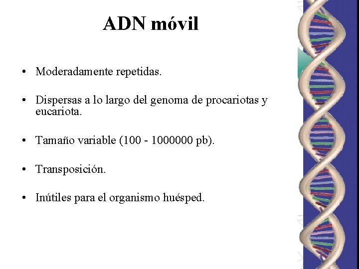 ADN móvil • Moderadamente repetidas. • Dispersas a lo largo del genoma de procariotas ADN móvil • Moderadamente repetidas. • Dispersas a lo largo del genoma de procariotas