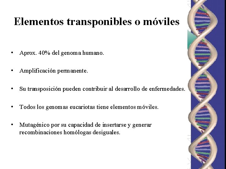 Elementos transponibles o móviles • Aprox. 40% del genoma humano. • Amplificación permanente. • Elementos transponibles o móviles • Aprox. 40% del genoma humano. • Amplificación permanente. •