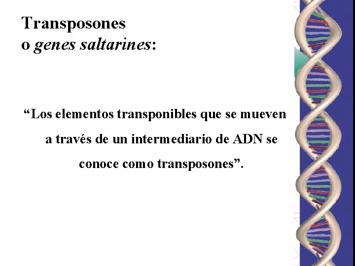 Transposones o genes saltarines: “Los elementos transponibles que se mueven a través de un Transposones o genes saltarines: “Los elementos transponibles que se mueven a través de un