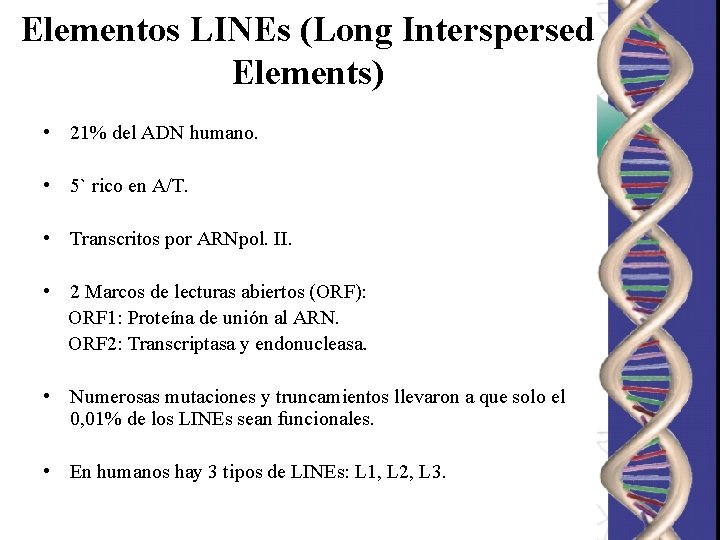 Elementos LINEs (Long Interspersed Elements) • 21% del ADN humano. • 5` rico en Elementos LINEs (Long Interspersed Elements) • 21% del ADN humano. • 5` rico en